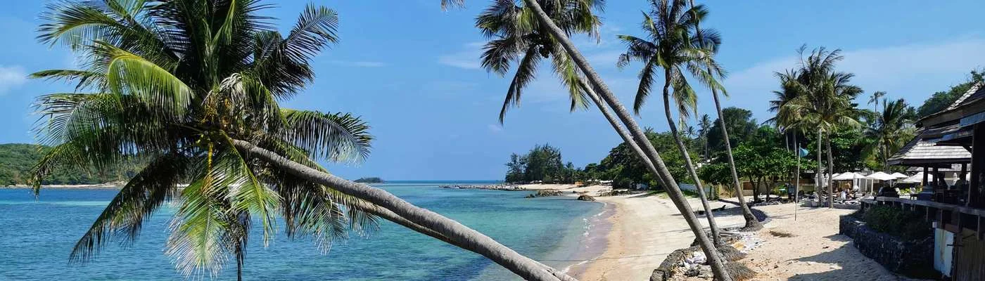 Tropischer Strand mit Palmen